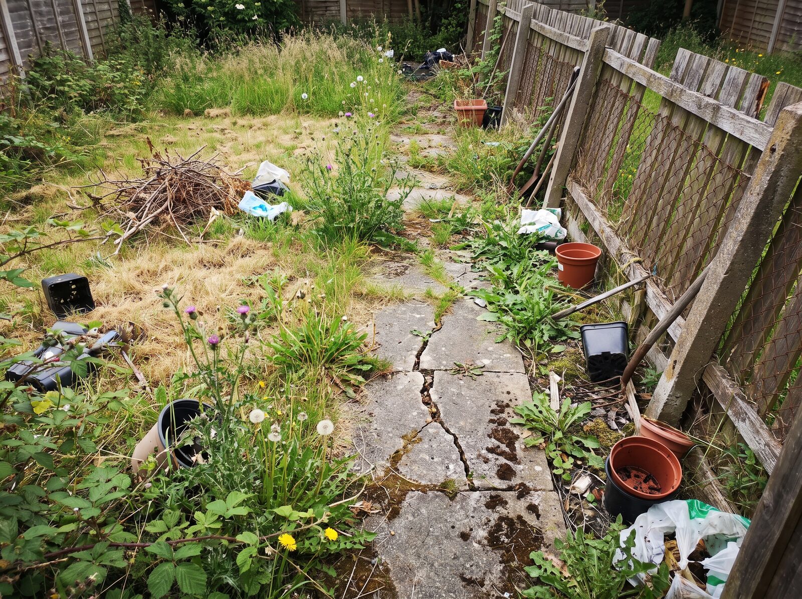 Garten vor der Umgestaltung